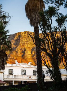 Cape Town, Güney Afrika - 2 Haziran 2025: Güneşli havalarda tarihi şehir merkezi