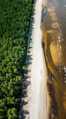 Riga Körfezi kıyısı yukarıdan, Letonya