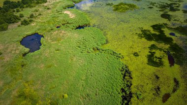 Yaz mevsiminde Vente Burnu 'nun hava aracı görüntüsü, Litvanya