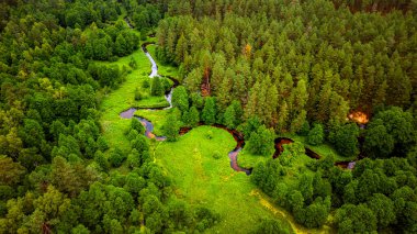 Yazın Dzukija Ulusal Parkı 'nın insansız hava aracı görüntüsü, Litvanya
