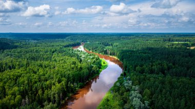 Turaida 'nın yazın uçak manzarası, Letonya