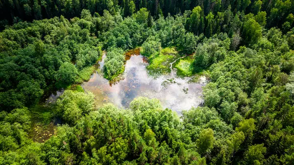 Turaida 'nın yazın uçak manzarası, Letonya