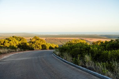 Addo Ulusal Parkı Vahşi Yaşam, Güney Afrika