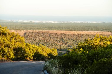 Addo Ulusal Parkı Vahşi Yaşam, Güney Afrika