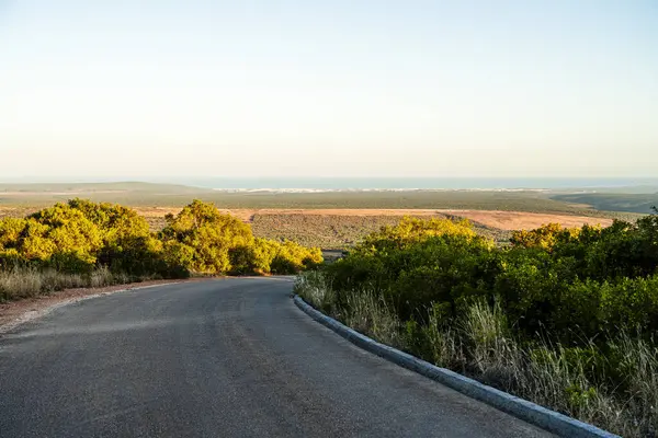 Addo Ulusal Parkı Vahşi Yaşam, Güney Afrika