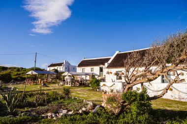 Arniston, Güney Afrika - 1 Haziran 2025: Resimli sahil köyü