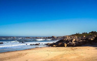 Cape Town, Güney Afrika, güneşli havada Kamp Koyu