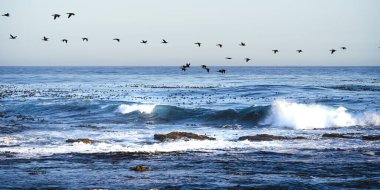 Storms River Mouth, Tsitsikamma Ulusal Parkı, Güney Afrika