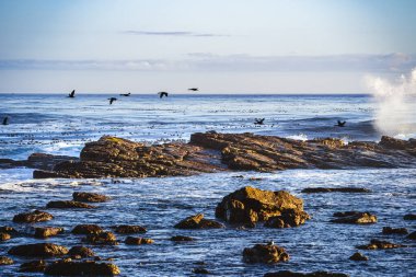 Storms River Mouth, Tsitsikamma Ulusal Parkı, Güney Afrika