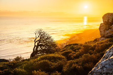 Storms River Mouth, Tsitsikamma Ulusal Parkı, Güney Afrika
