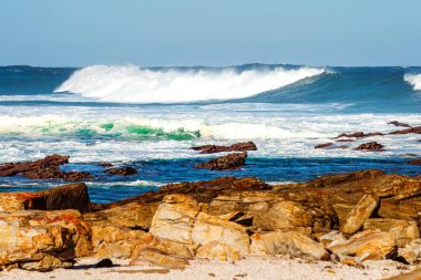 Stony Point Doğa Koruma Alanı, Güney Afrika
