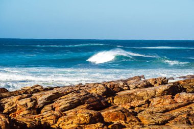 Stony Point Doğa Koruma Alanı, Güney Afrika