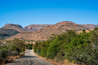 Mountain Zebra Ulusal Parkı, Güney Afrika