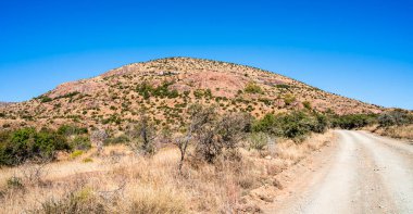 Mountain Zebra Ulusal Parkı, Güney Afrika