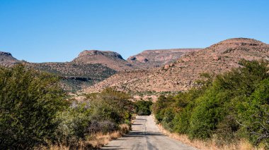 Mountain Zebra Ulusal Parkı, Güney Afrika