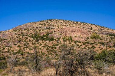Mountain Zebra Ulusal Parkı, Güney Afrika