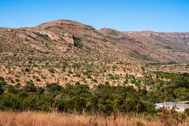 Mountain Zebra Ulusal Parkı, Güney Afrika