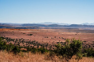 Mountain Zebra Ulusal Parkı, Güney Afrika
