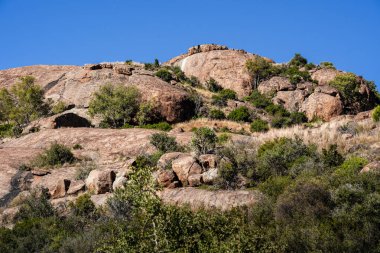 Mountain Zebra Ulusal Parkı, Güney Afrika