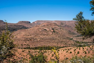 Mountain Zebra Ulusal Parkı, Güney Afrika