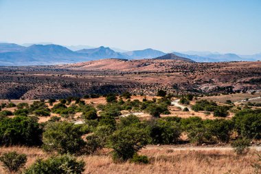 Mountain Zebra Ulusal Parkı, Güney Afrika