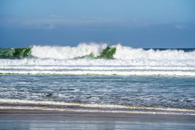 Doğa Vadisi, Bahçe Yolu, Güney Afrika