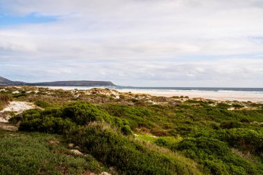 Cape Peninsula Plajı Bulutlu hava, Güney Afrika