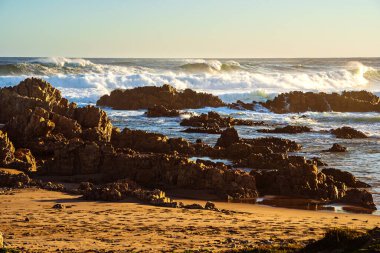 Brenton Deniz Sahili 'nde, Knysna, Güney Afrika