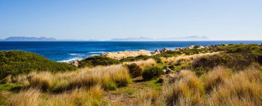 Stony Point Doğa Koruma Alanı, Güney Afrika