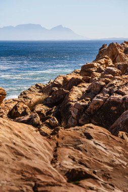 Stony Point Doğa Koruma Alanı, Güney Afrika
