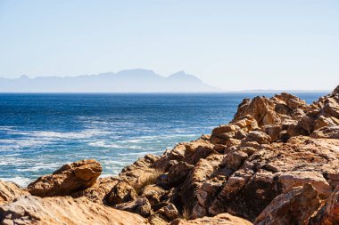 Stony Point Doğa Koruma Alanı, Güney Afrika