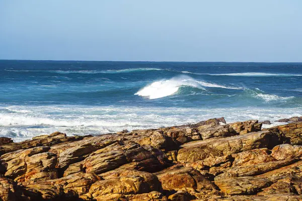 Stony Point Doğa Koruma Alanı, Güney Afrika