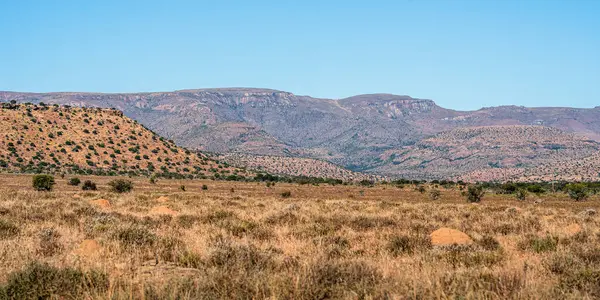 Mountain Zebra Ulusal Parkı, Güney Afrika