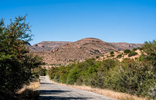 Mountain Zebra Ulusal Parkı, Güney Afrika
