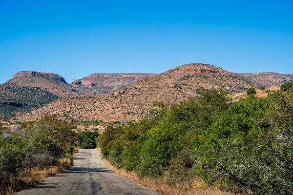 Mountain Zebra Ulusal Parkı, Güney Afrika