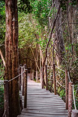Storms River Mouth, Tsitsikamma Ulusal Parkı, Güney Afrika