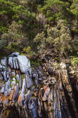 Storms River Mouth, Tsitsikamma Ulusal Parkı, Güney Afrika