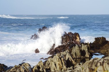 Storms River Mouth, Tsitsikamma Ulusal Parkı, Güney Afrika