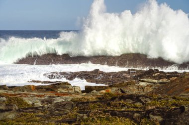 Storms River Mouth, Tsitsikamma Ulusal Parkı, Güney Afrika