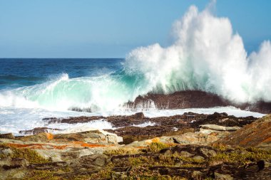 Storms River Mouth, Tsitsikamma Ulusal Parkı, Güney Afrika