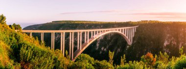 Güney Afrika 'daki Tsitsikamma Milli Parkı