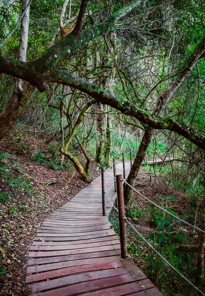 Storms River Mouth, Tsitsikamma Ulusal Parkı, Güney Afrika