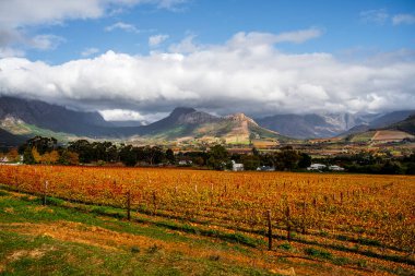 Franschhoek, Güney Afrika - 3 Haziran 2025: Yazın pitoresk şehir