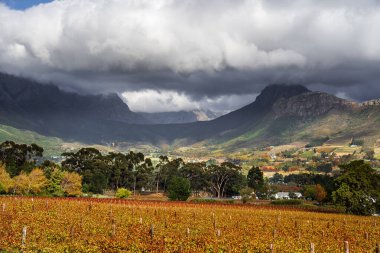 Franschhoek, Güney Afrika - 3 Haziran 2025: Yazın pitoresk şehir