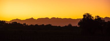 62. karayolu, Güney Afrika - 24 Haziran 2025: Güneşli havalarda resimli yol kenarları
