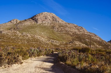 Swartberg Geçidi, Karoo, Güney Afrika