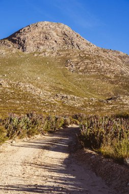 Swartberg Geçidi, Karoo, Güney Afrika