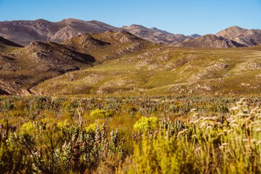Swartberg Geçidi, Karoo, Güney Afrika