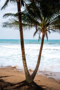 Terengganu Sahil Hattı, Malezya, HDR Görüntü
