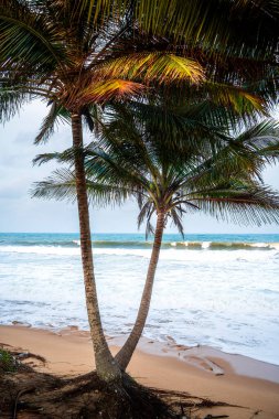 Terengganu Sahil Hattı, Malezya, HDR Görüntü
